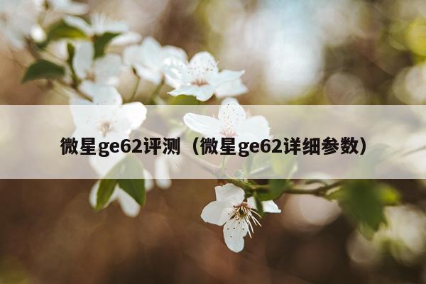 微星ge62评测（微星ge62详细参数）