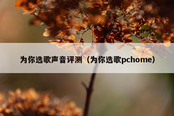 为你选歌声音评测（为你选歌pchome）