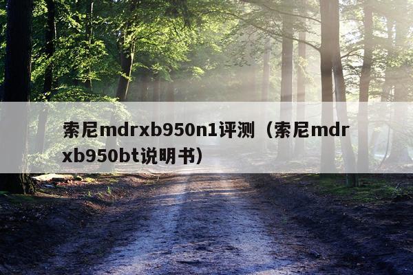 索尼mdrxb950n1评测（索尼mdrxb950bt说明书）