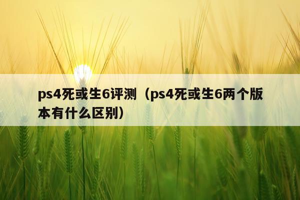 ps4死或生6评测（ps4死或生6两个版本有什么区别）