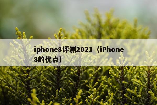 iphone8评测2021（iPhone8的优点）