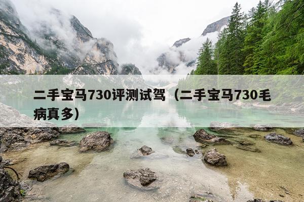 二手宝马730评测试驾（二手宝马730毛病真多）