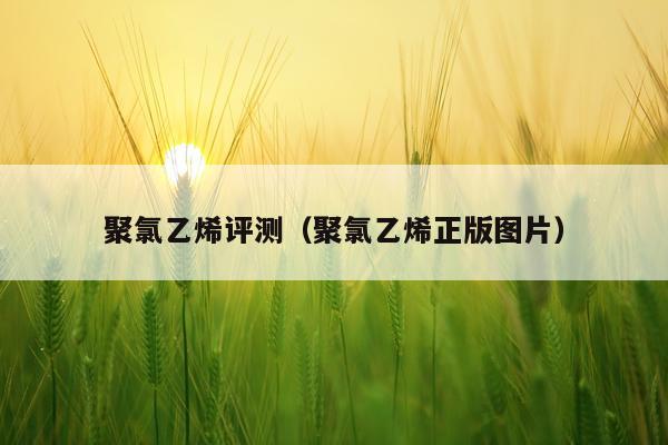 聚氯乙烯评测（聚氯乙烯正版图片）