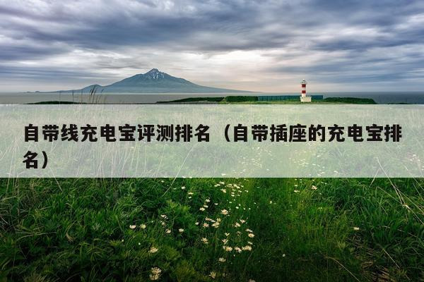 自带线充电宝评测排名（自带插座的充电宝排名）
