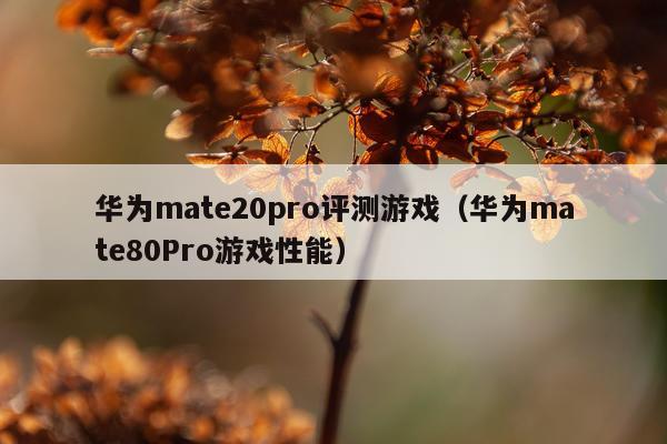 华为mate20pro评测游戏（华为mate80Pro游戏性能）