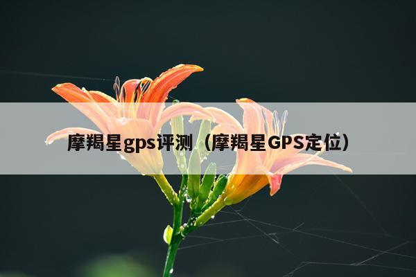 摩羯星gps评测（摩羯星GPS定位）