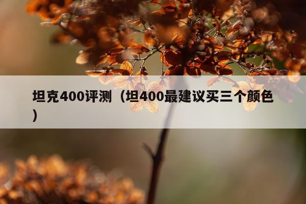 坦克400评测（坦400最建议买三个颜色）