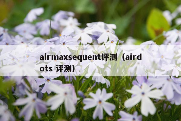 airmaxsequent评测（airdots 评测）