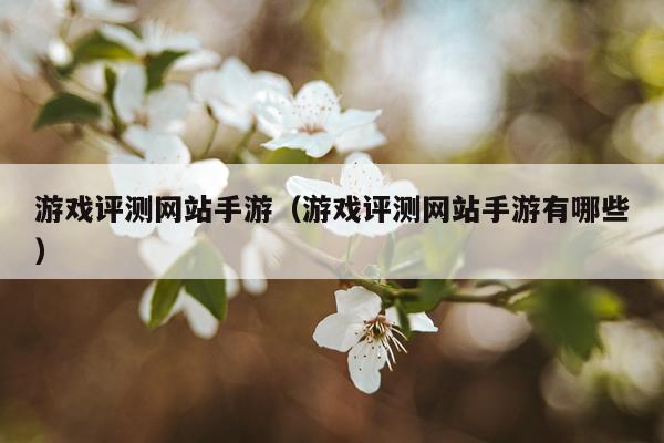 游戏评测网站手游（游戏评测网站手游有哪些）