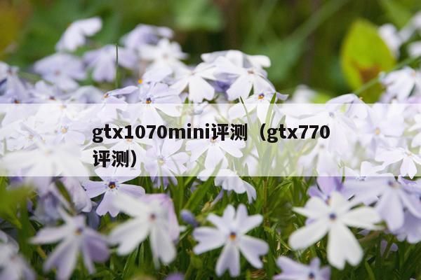 gtx1070mini评测（gtx770评测）