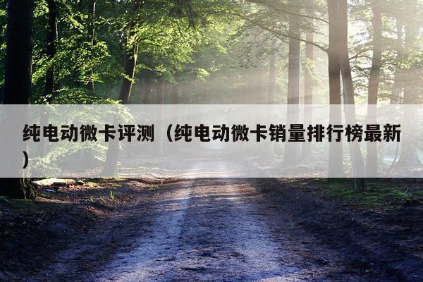 纯电动微卡评测（纯电动微卡销量排行榜最新）