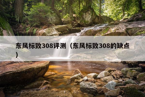 东风标致308评测（东风标致308的缺点）