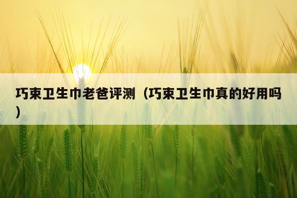 巧束卫生巾老爸评测（巧束卫生巾真的好用吗）