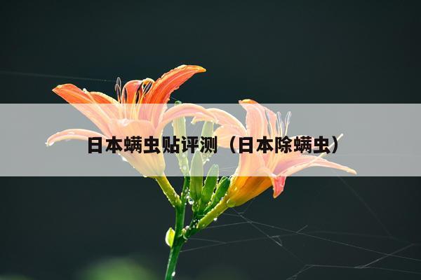 日本螨虫贴评测（日本除螨虫）