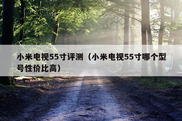 小米电视55寸评测（小米电视55寸哪个型号性价比高）