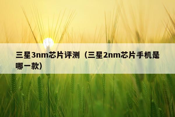 三星3nm芯片评测（三星2nm芯片手机是哪一款）