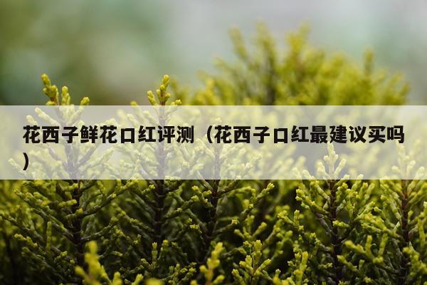 花西子鲜花口红评测（花西子口红最建议买吗）