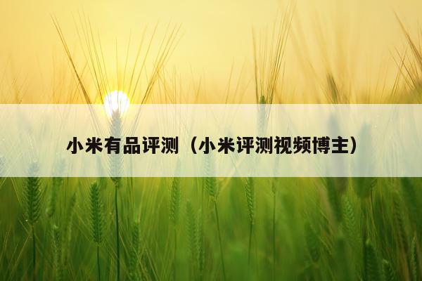 小米有品评测（小米评测视频博主）