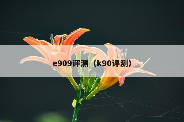 e909评测（k90评测）