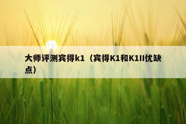 大师评测宾得k1（宾得K1和K1II优缺点）