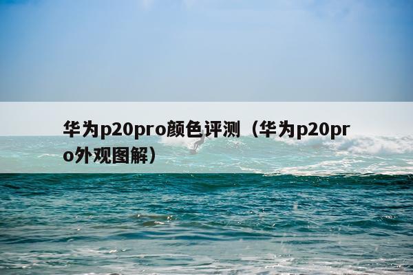 华为p20pro颜色评测（华为p20pro外观图解）