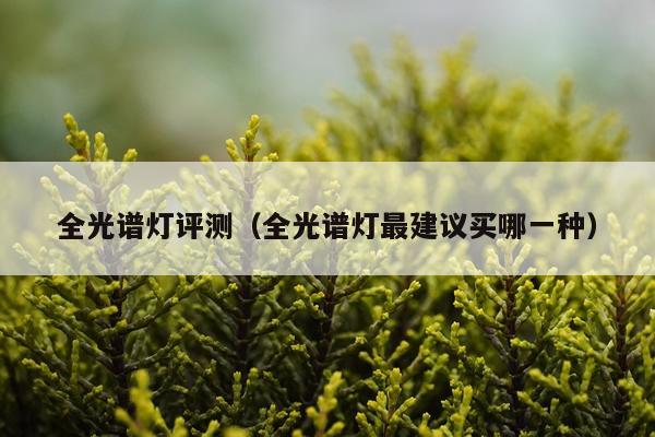 全光谱灯评测（全光谱灯最建议买哪一种）