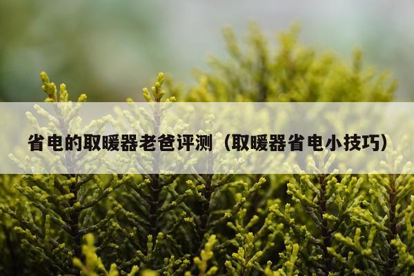 省电的取暖器老爸评测（取暖器省电小技巧）