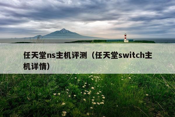 任天堂ns主机评测（任天堂switch主机详情）