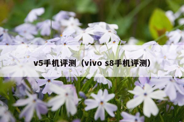 v5手机评测（vivo s8手机评测）