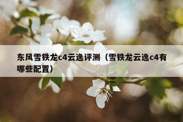 东风雪铁龙c4云逸评测（雪铁龙云逸c4有哪些配置）