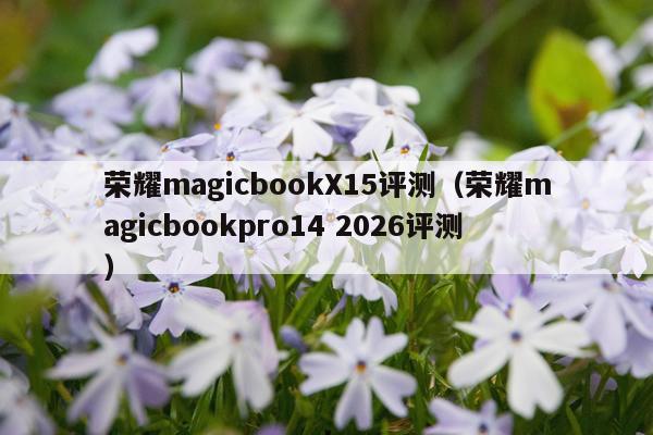 荣耀magicbookX15评测（荣耀magicbookpro14 2026评测）