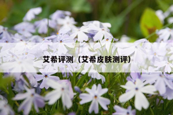 艾希评测（艾希皮肤测评）