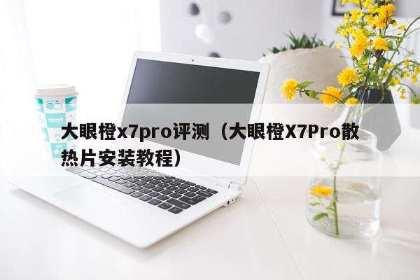 大眼橙x7pro评测（大眼橙X7Pro散热片安装教程）