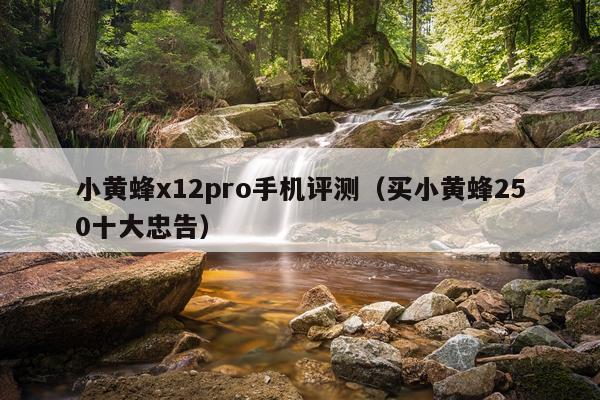 小黄蜂x12pro手机评测（买小黄蜂250十大忠告）