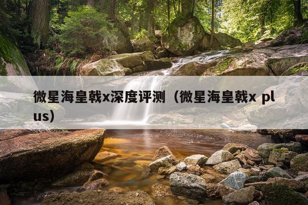 微星海皇戟x深度评测（微星海皇戟x plus）