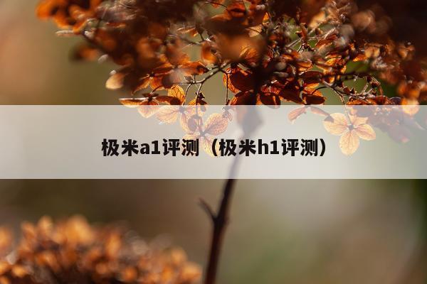 极米a1评测（极米h1评测）
