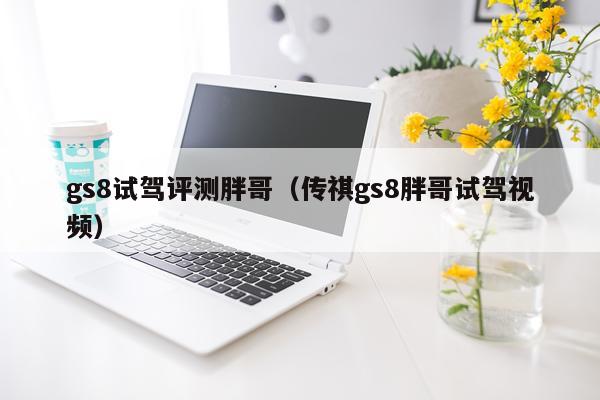gs8试驾评测胖哥（传祺gs8胖哥试驾视频）