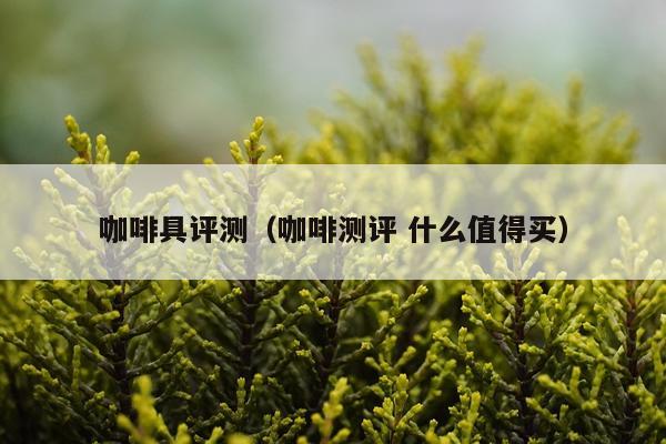 咖啡具评测（咖啡测评 什么值得买）