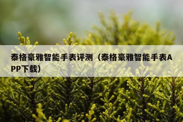 泰格豪雅智能手表评测（泰格豪雅智能手表APP下载）