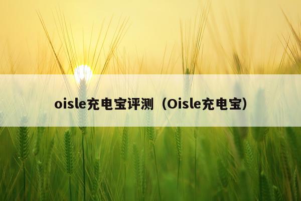 oisle充电宝评测（Oisle充电宝）