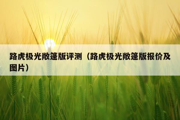 路虎极光敞篷版评测（路虎极光敞篷版报价及图片）