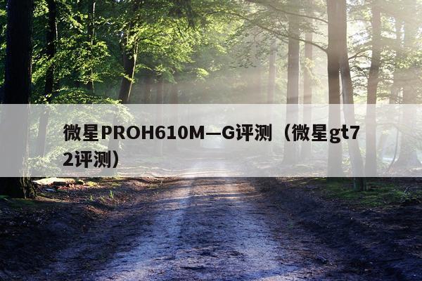 微星PROH610M—G评测（微星gt72评测）