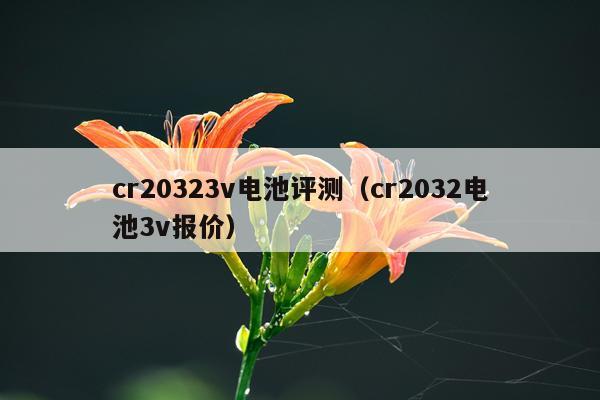 cr20323v电池评测（cr2032电池3v报价）