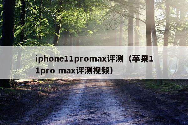 iphone11promax评测（苹果11pro max评测视频）