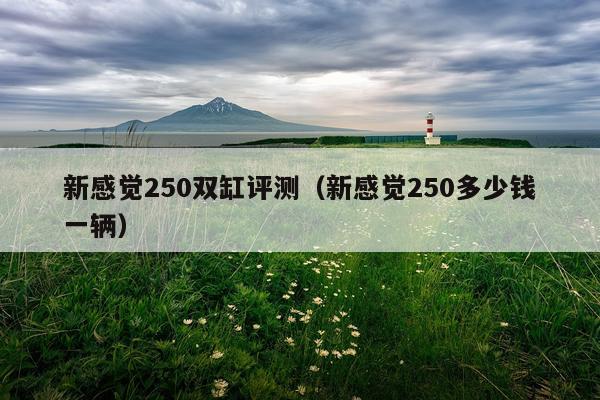 新感觉250双缸评测（新感觉250多少钱一辆）