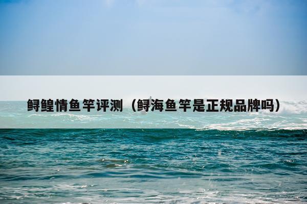 鲟鳇情鱼竿评测（鲟海鱼竿是正规品牌吗）