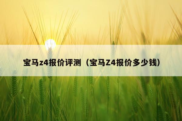 宝马z4报价评测（宝马Z4报价多少钱）