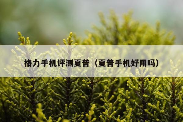 格力手机评测夏普（夏普手机好用吗）
