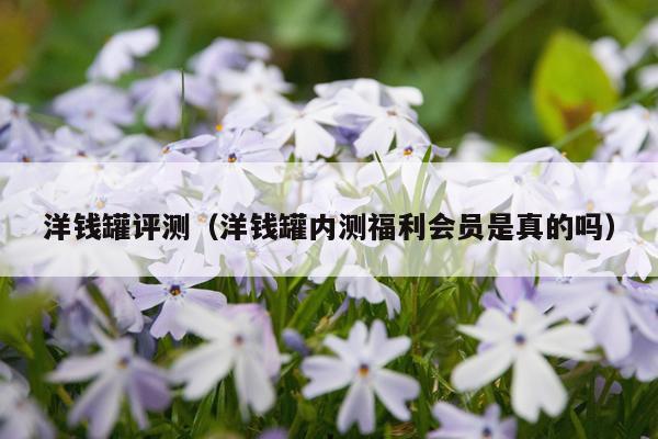 洋钱罐评测（洋钱罐内测福利会员是真的吗）