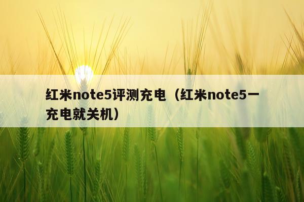 红米note5评测充电（红米note5一充电就关机）